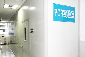 PCR實(shí)驗室設計規劃，從0開(kāi)始