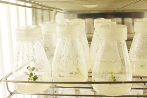 【正海新知】微生物實(shí)驗室的布局和運行