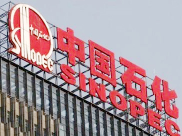 中國石化——湖南岳陽(yáng)巴陵公司